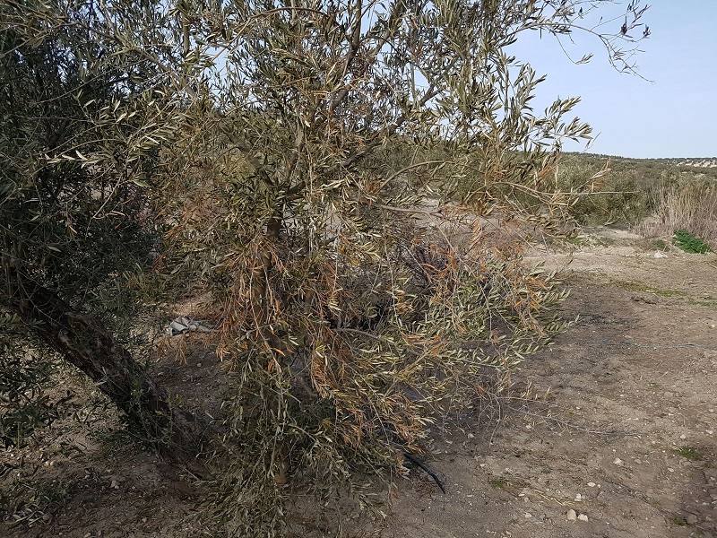 image4